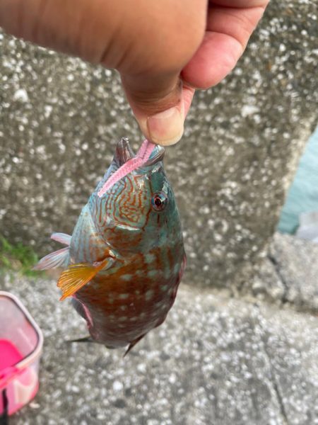 月がキレイやった