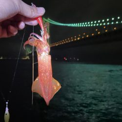 単発のあたりですが釣れました