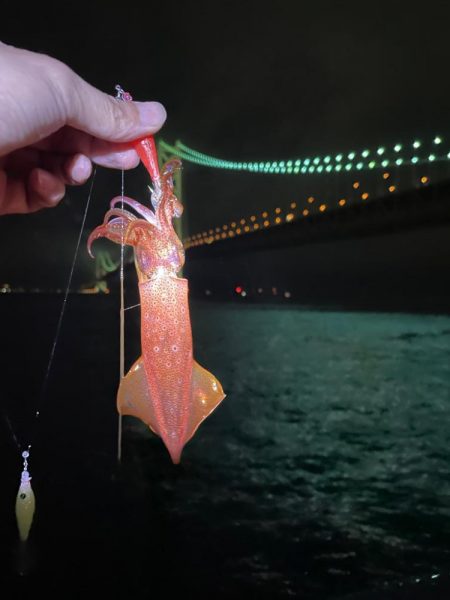 単発のあたりですが釣れました