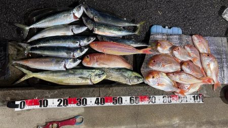 マイボートで残暑のアマダイ釣行！