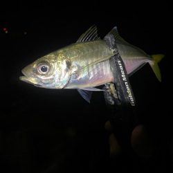 フロートアジング