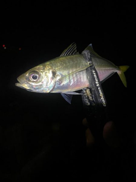 フロートアジング