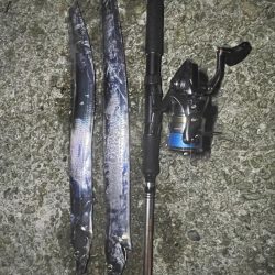 太刀魚食べたい