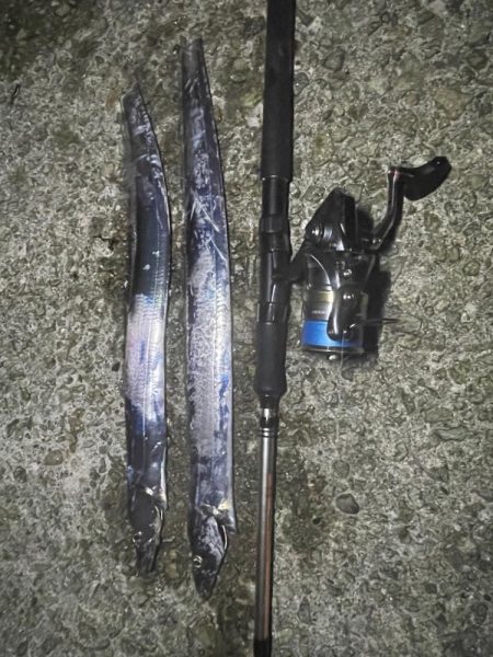 太刀魚食べたい