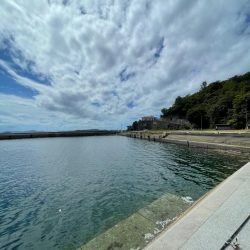 遠投サビキ　鯛二連掛けえ