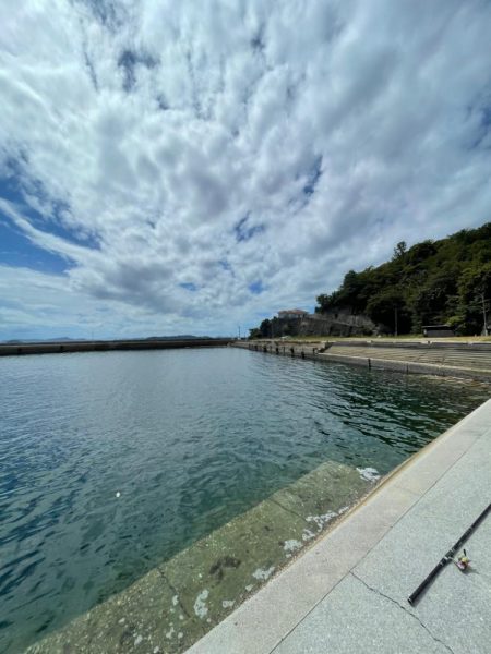 遠投サビキ　鯛二連掛けえ