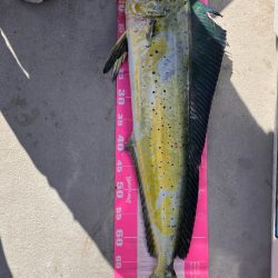 初オフショアキャスティング