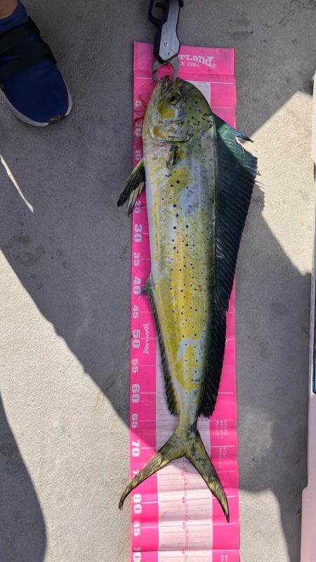 初オフショアキャスティング