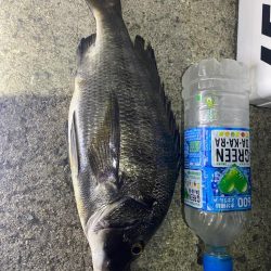 魔界の激安ジグヘッドの貫通は良き