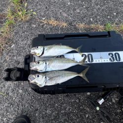 ワームテストアジング!