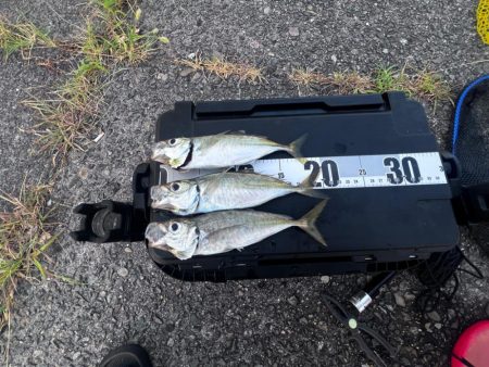 ワームテストアジング!