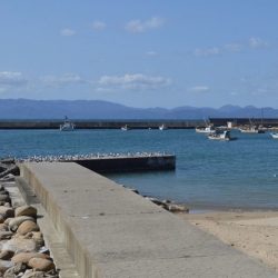 曇り時々晴れ後雷雨