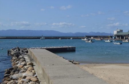 曇り時々晴れ後雷雨
