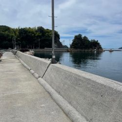 まだ早いですね〜‼️