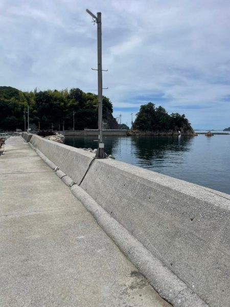 まだ早いですね〜‼️