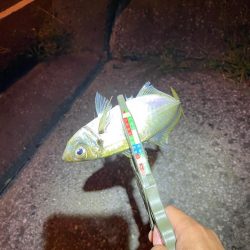 爆風シャロー攻略