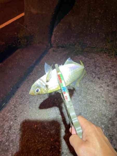 爆風シャロー攻略