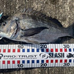 今日は渋めチヌトップ