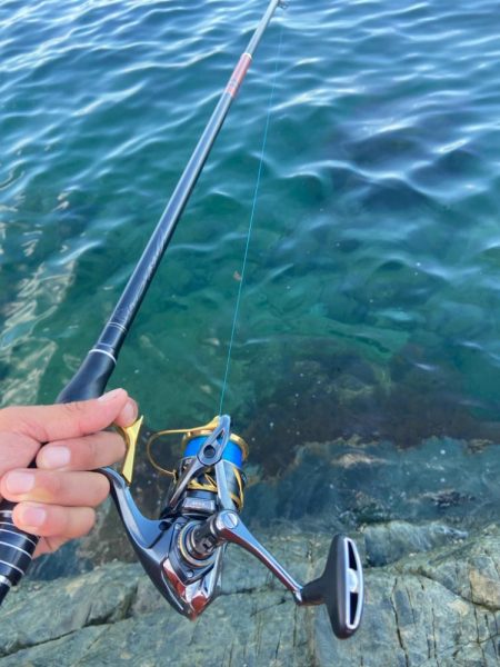 釣れれば40cmオーバーのチヌ