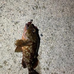 ツライトゲーム