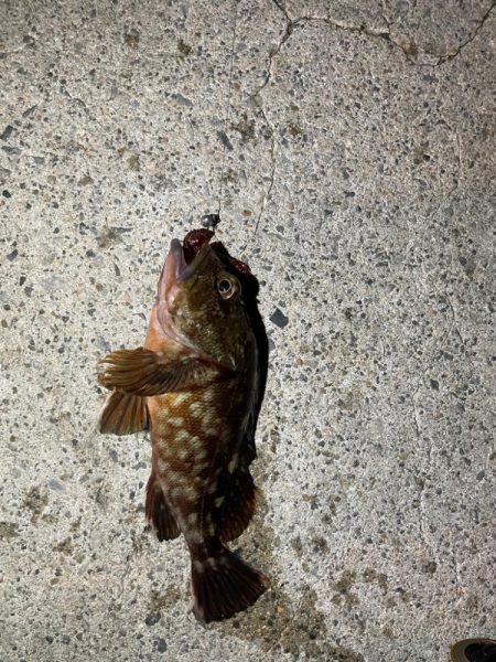 ツライトゲーム