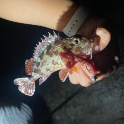 ツライトゲーム