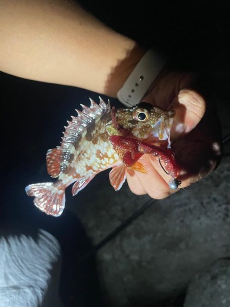 ツライトゲーム