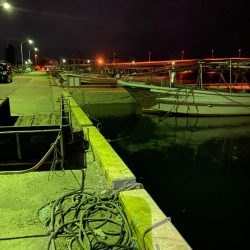 メバリング釣査