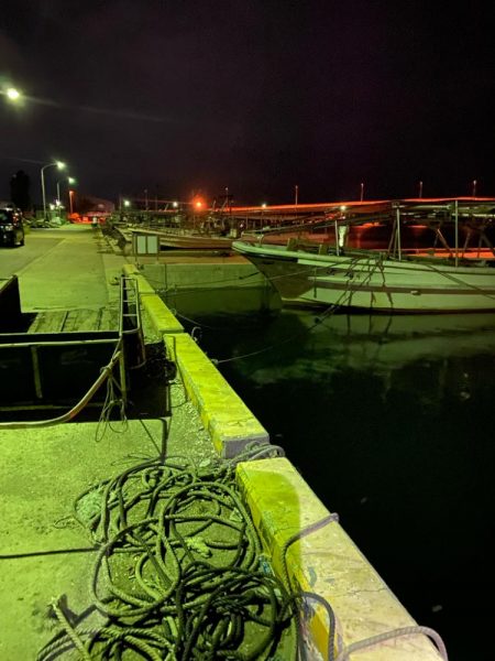 メバリング釣査