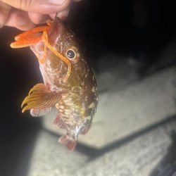 ライトロックゲーム