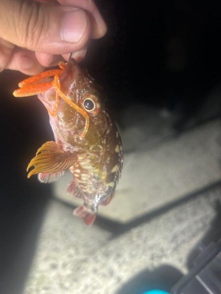 ライトロックゲーム