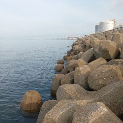 高砂港、弾丸キス釣行その2