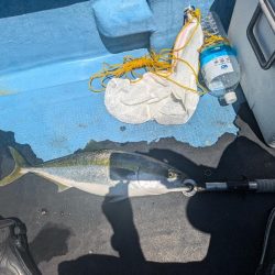 暑い夏の友が島廻り