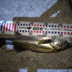 ベイトのキャスト練習