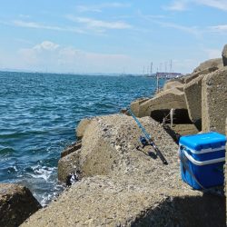 高砂港のちょい投げ