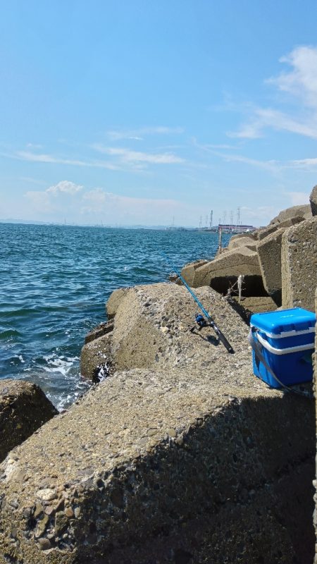 高砂港のちょい投げ