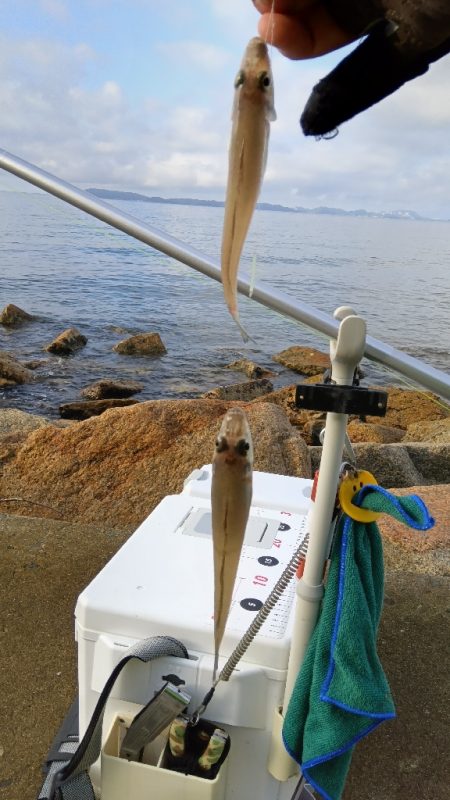 苅屋海岸のキス釣り