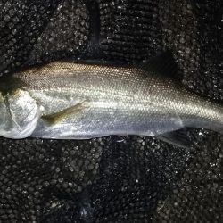 雨が止む間に…