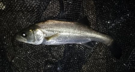 雨が止む間に…