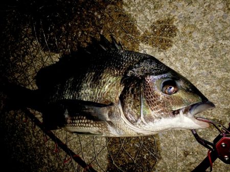 台風の雨上がり釣行