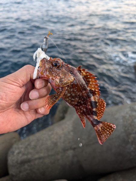 陸っぱり釣行記