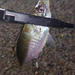 そんな甘くはないよね！