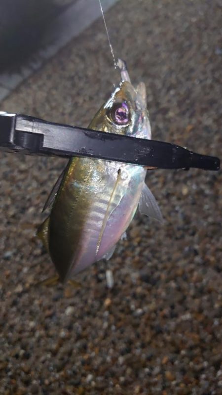 そんな甘くはないよね！