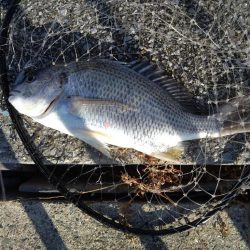 白銀のヤツ！！