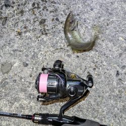 地合い短かっ！