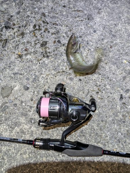 地合い短かっ！