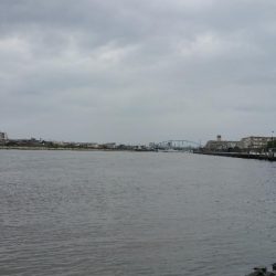 旧江戸シーバス