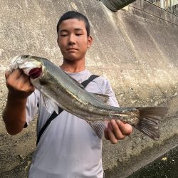 博多湾シーバス　御笹川