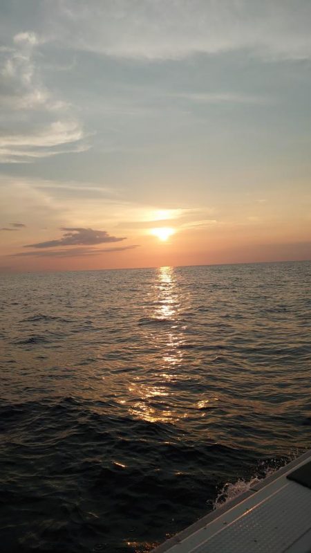 激渋イカメタル