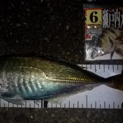 総入れ替えその②